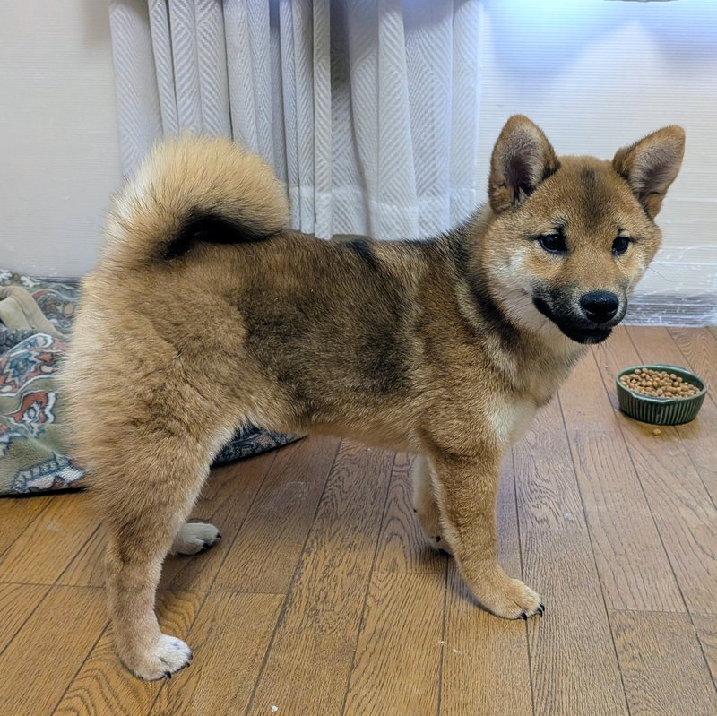 ワンボヌールの写真